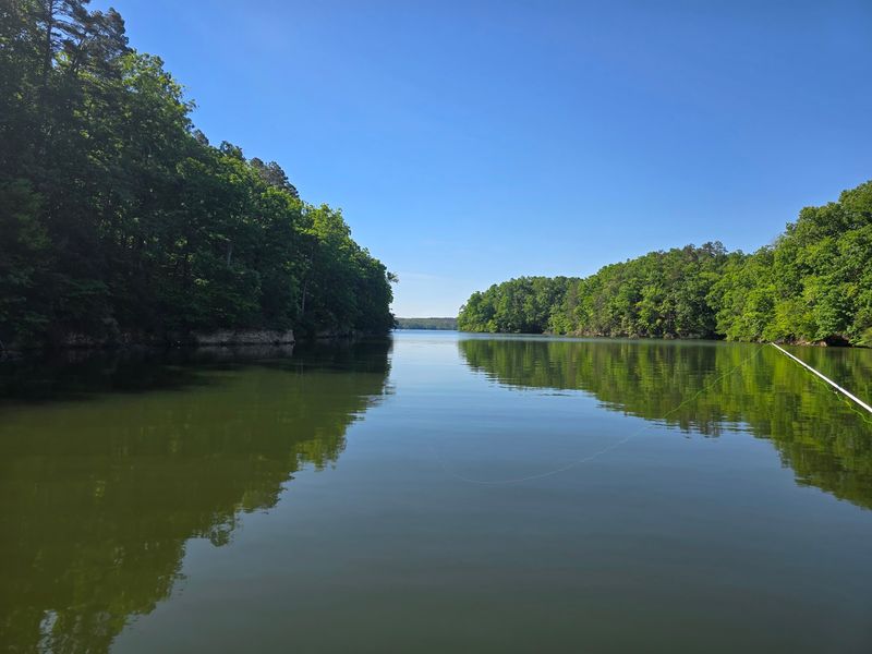 Pickwick Lake