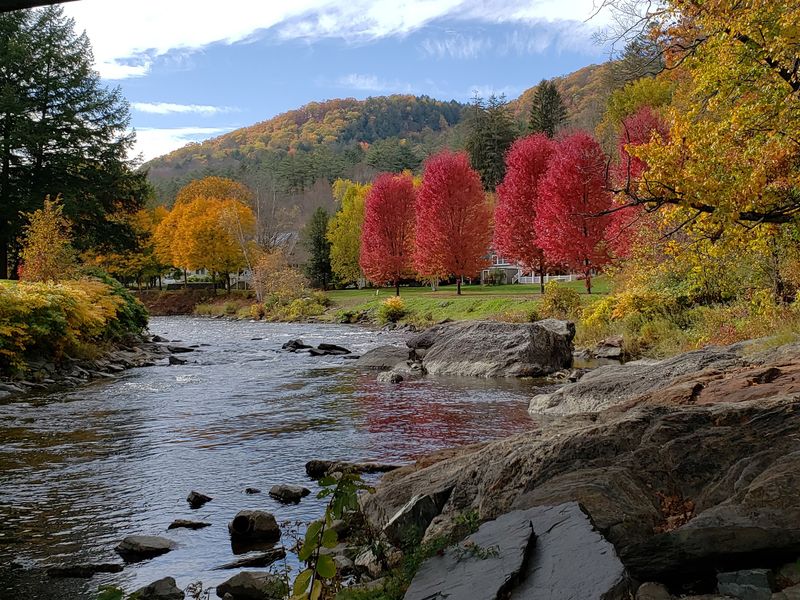 Seasonal Festivals Bringing Vibrancy