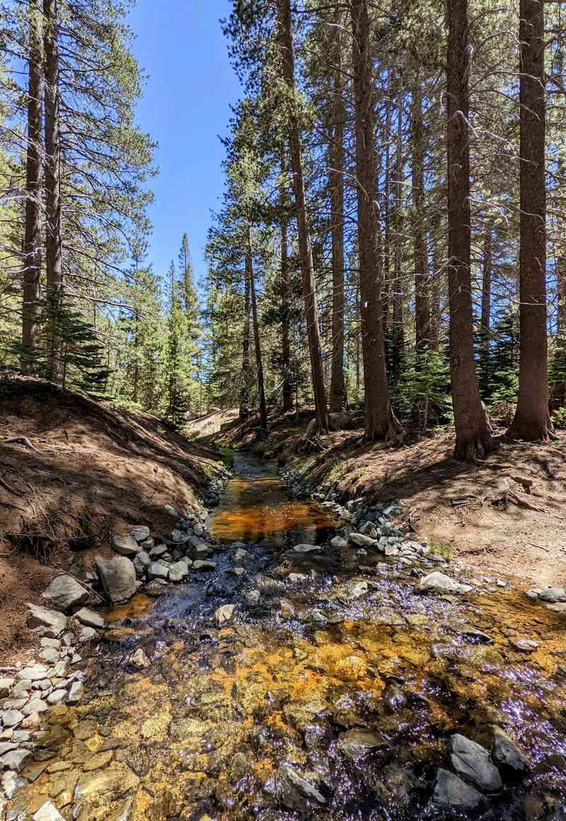 The Long Hike From Hobart Road