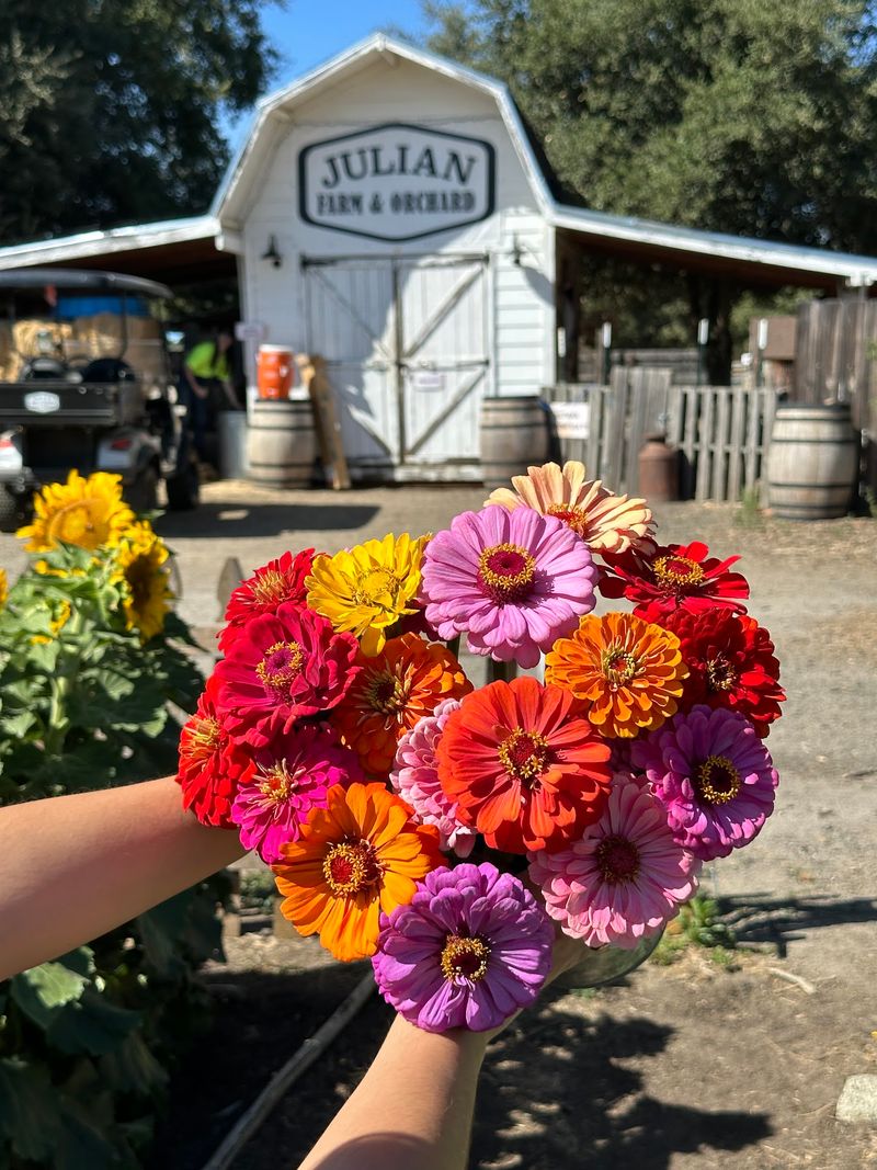 Planning Tips For A Smooth Day At The Farm