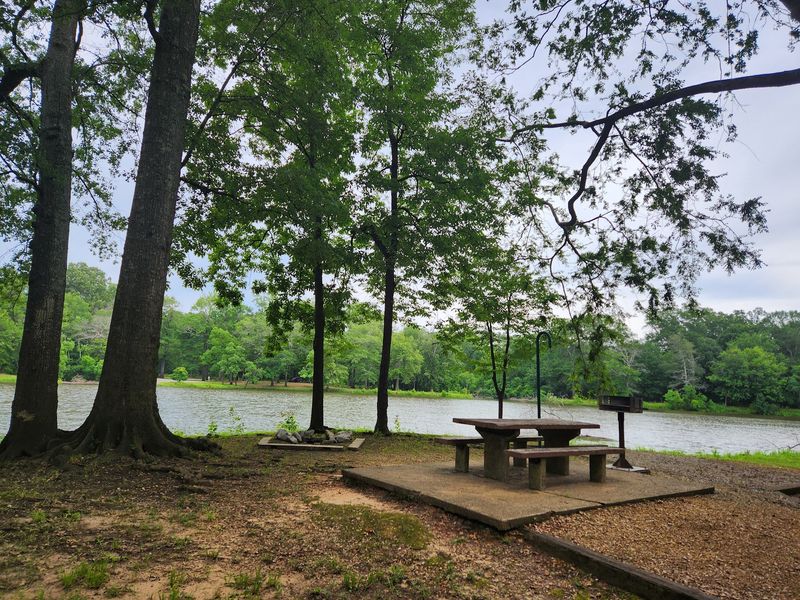 Museum Trail - LeFleur's Bluff State Park, Jackson, MS