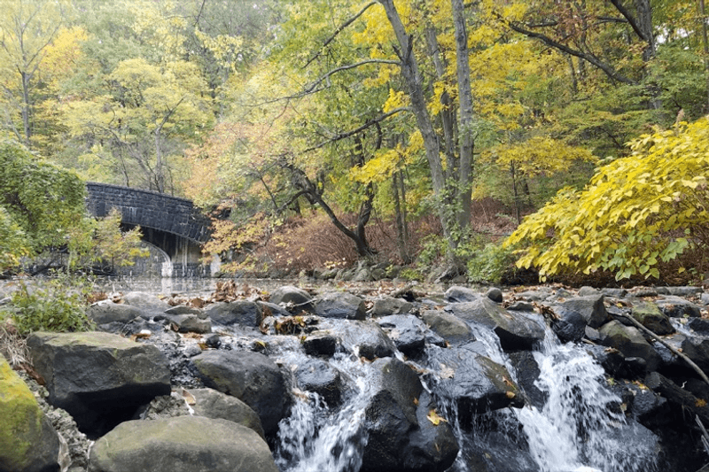 Clove Lakes Park - Staten Island