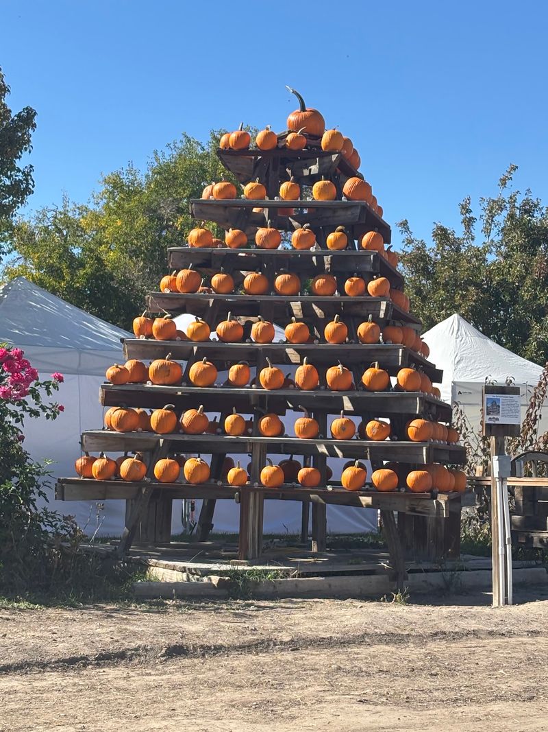 Autumn Turns The Place Into A Festival