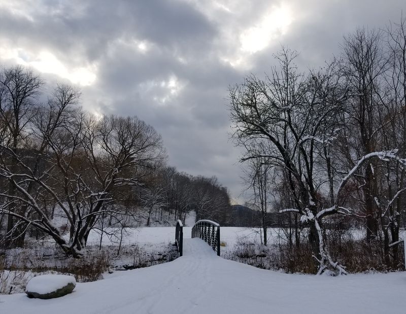 Grafton
