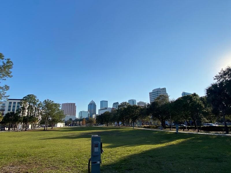 Downtown Tampa Skyline Views From Inside The Park