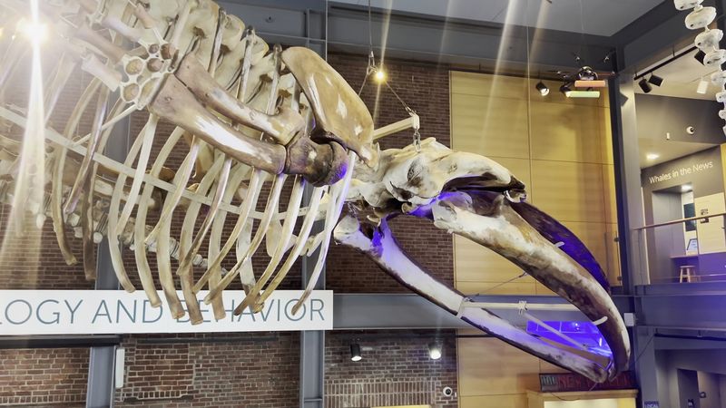 New Bedford Whaling National Historical Park