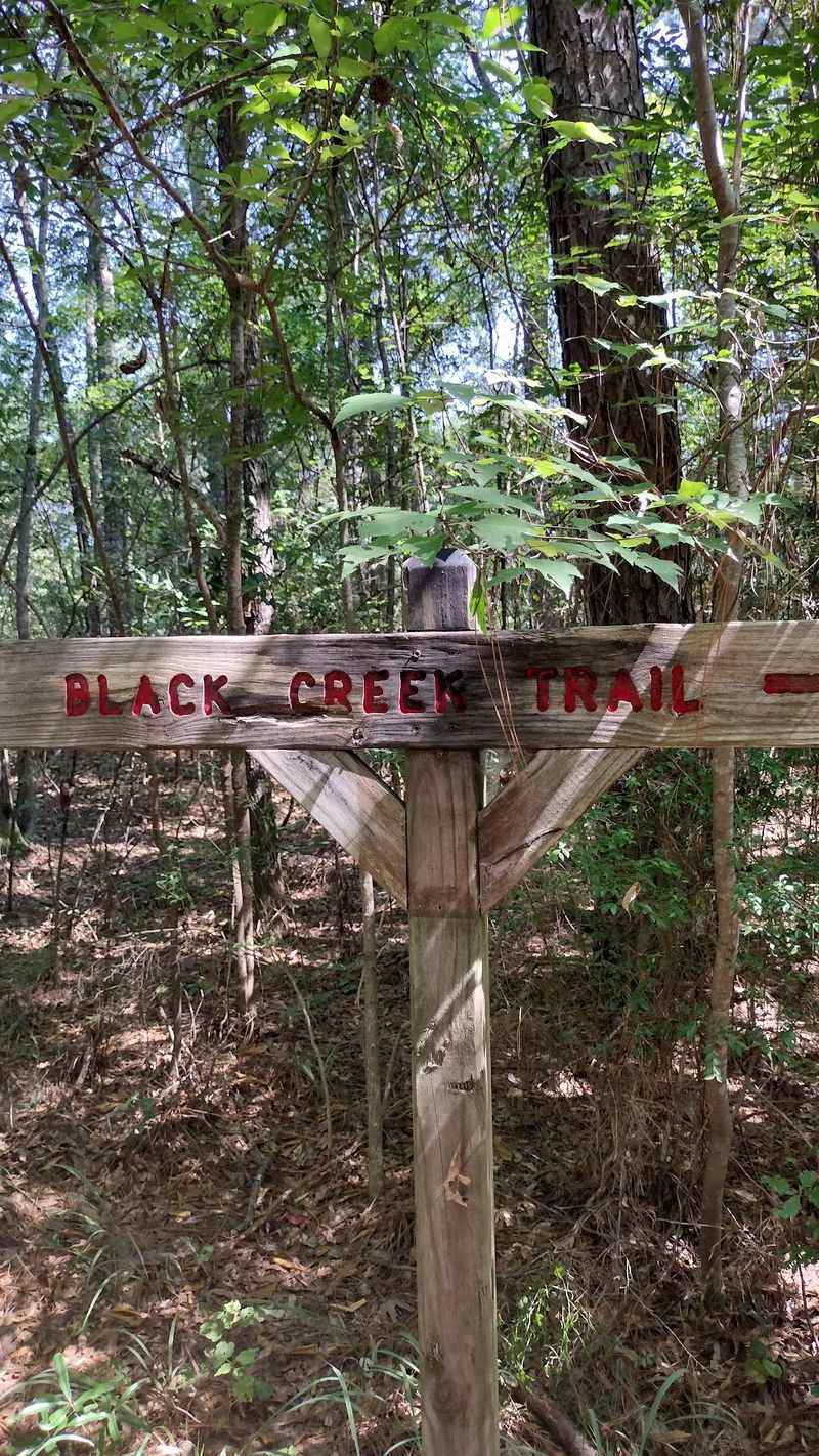 Black Creek Hiking Trailhead + Parking Area
