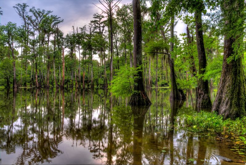 Pascagoula River State Wildlife Management Area