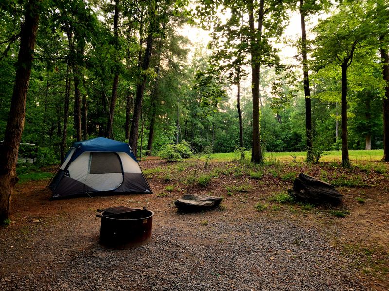 Camping Right On The Shoreline