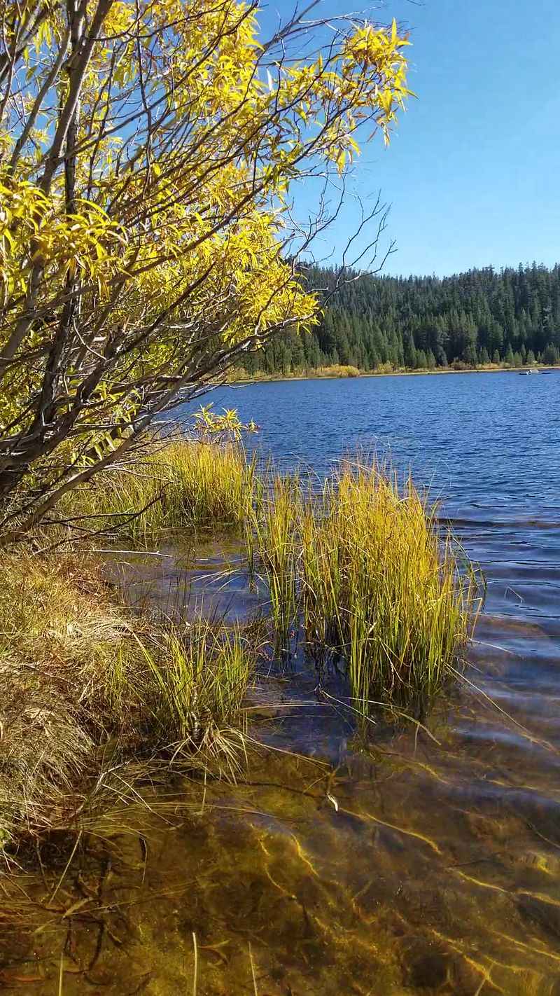 Four Seasons, Four Different Lakes