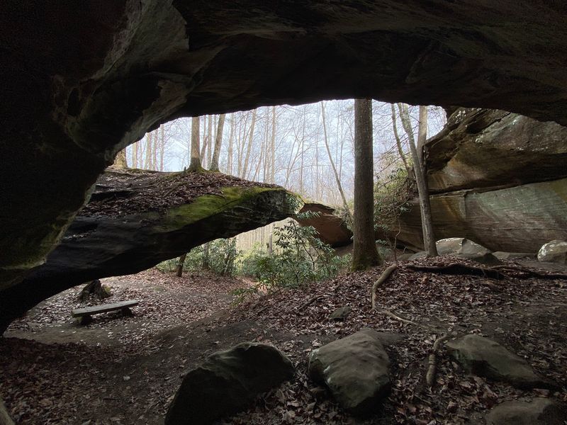 Natural Bridge Trail At Pickett CCC Memorial State Park, Jamestown