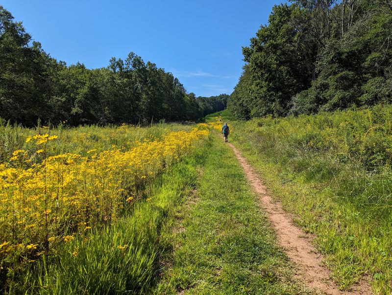 Somerset County: Boulders, Bikes And Serious Tick Territory
