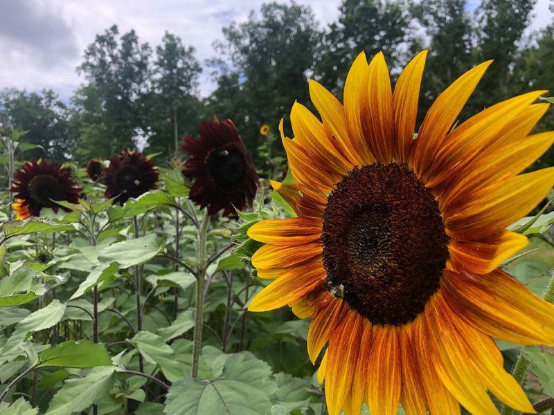 Smart Packing Tips For A Mountain Farm Day