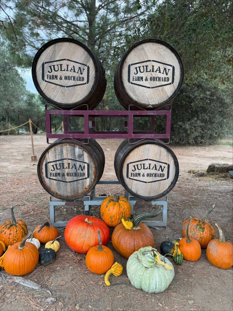 Pumpkin Patch Season Turns The Fields Orange