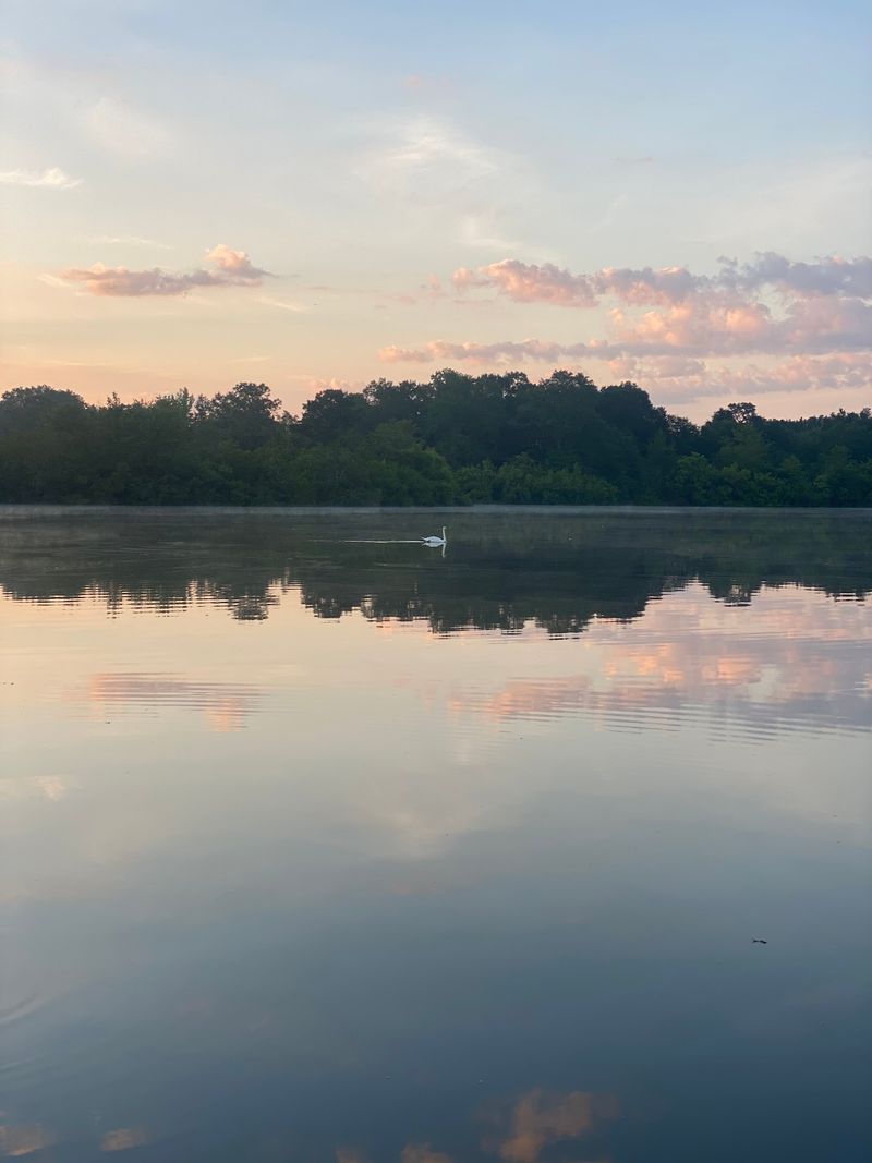 Seasonal Changes Impacting The Lake Environment