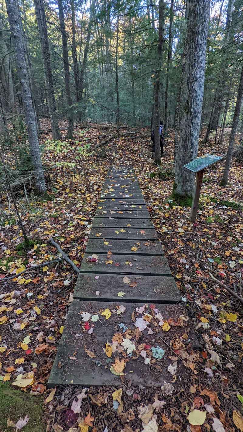 Why This Walk Stays With You Long After