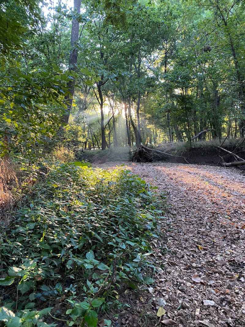 How To Leave No Trace While Enjoying Nature
