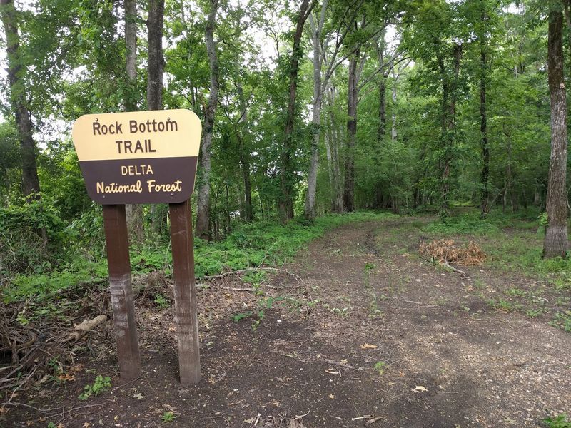 Delta National Forest