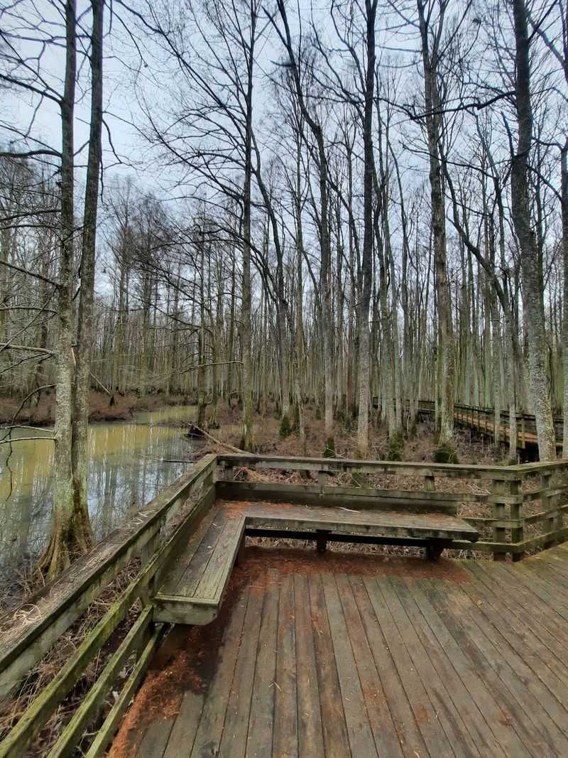 William B. Clark Conservation Area Boardwalk, Rossville