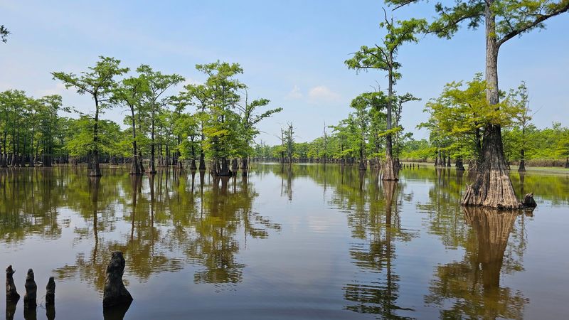 Felsenthal National Wildlife Refuge