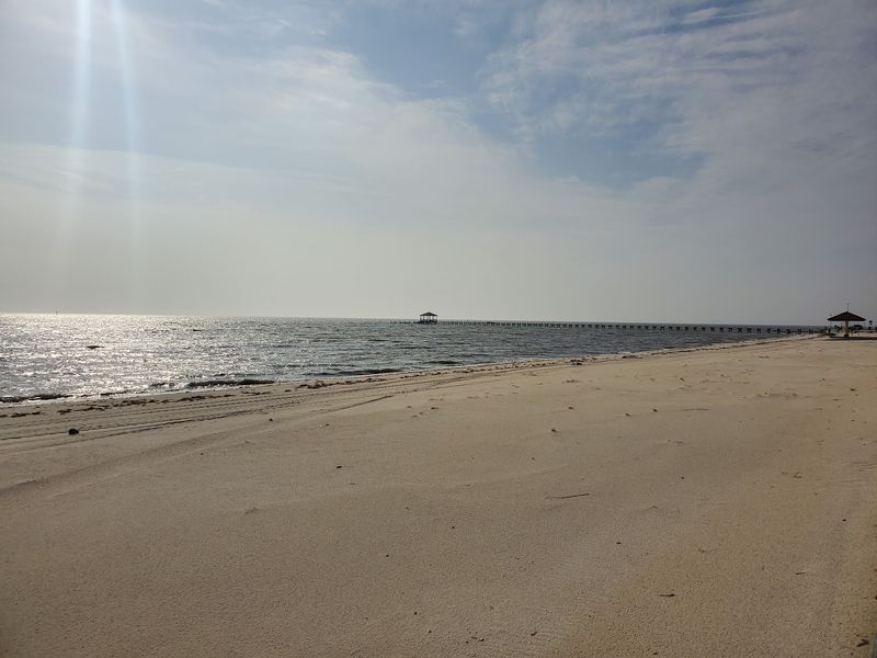 Low Tide Is Your Best Friend