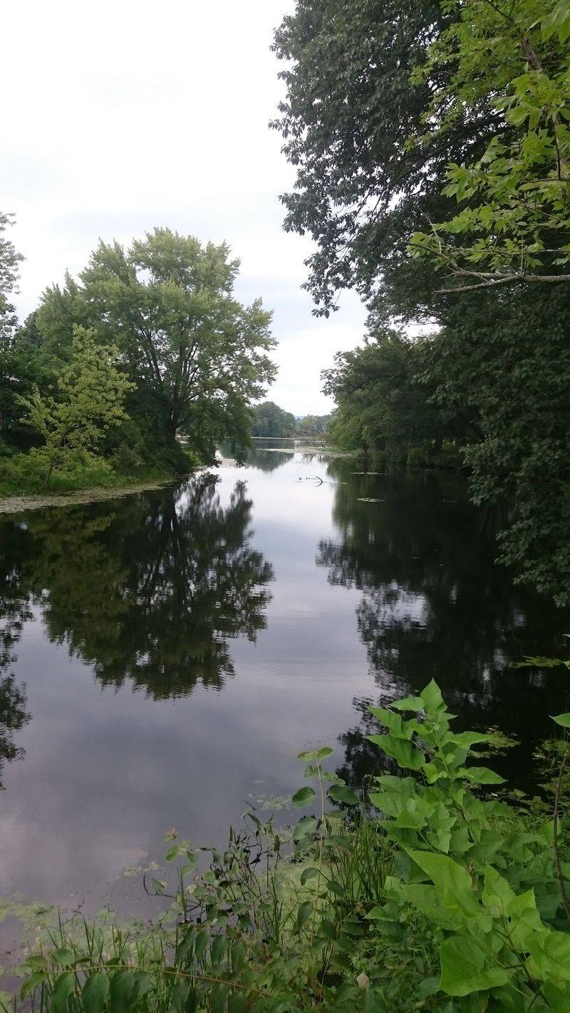 Paddle Across Calm Water