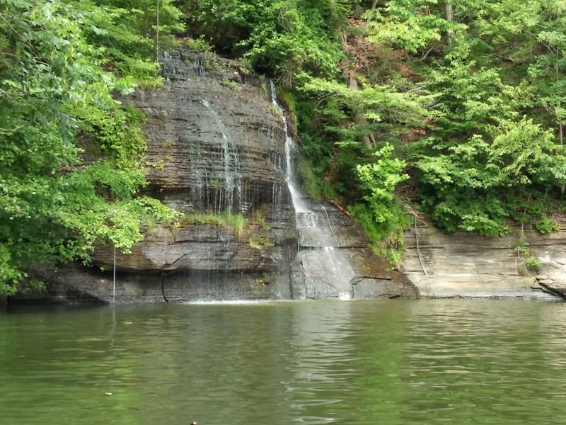J.P. Coleman State Park 