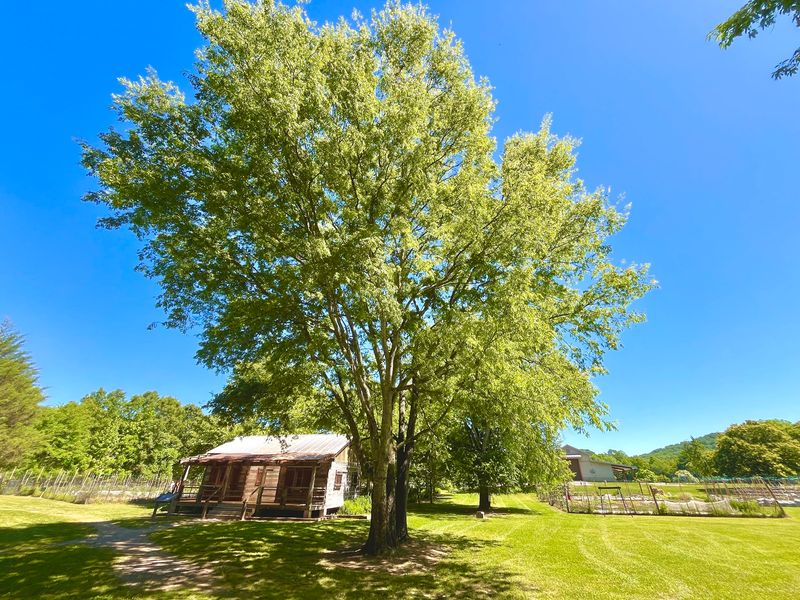 Greenway Farm