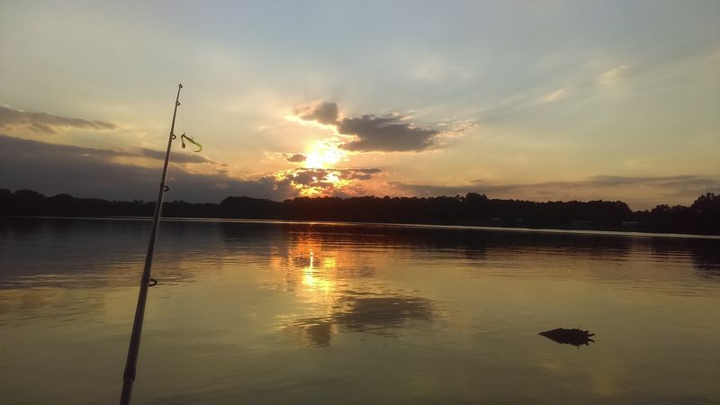 Fishing Conditions And Techniques