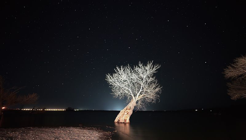 Camping Where The Stars Actually Show Up