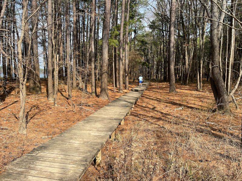 Trails Through Vanished Farmland