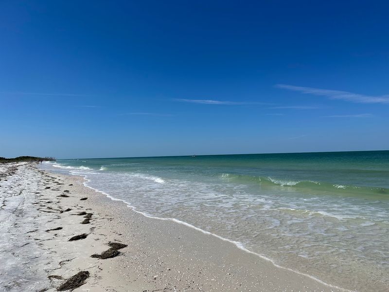 Honeymoon Island, Dunedin