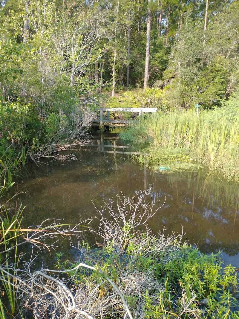 Marshwalk At Shepard State Park - Gautier, MS