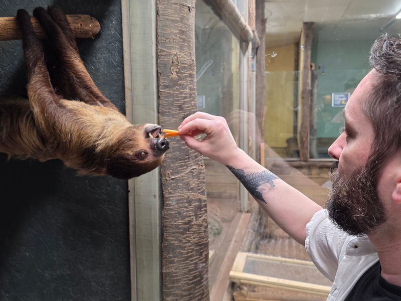 A Rescue First, A Zoo Second
