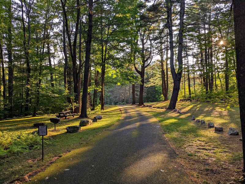 Wendell State Forest