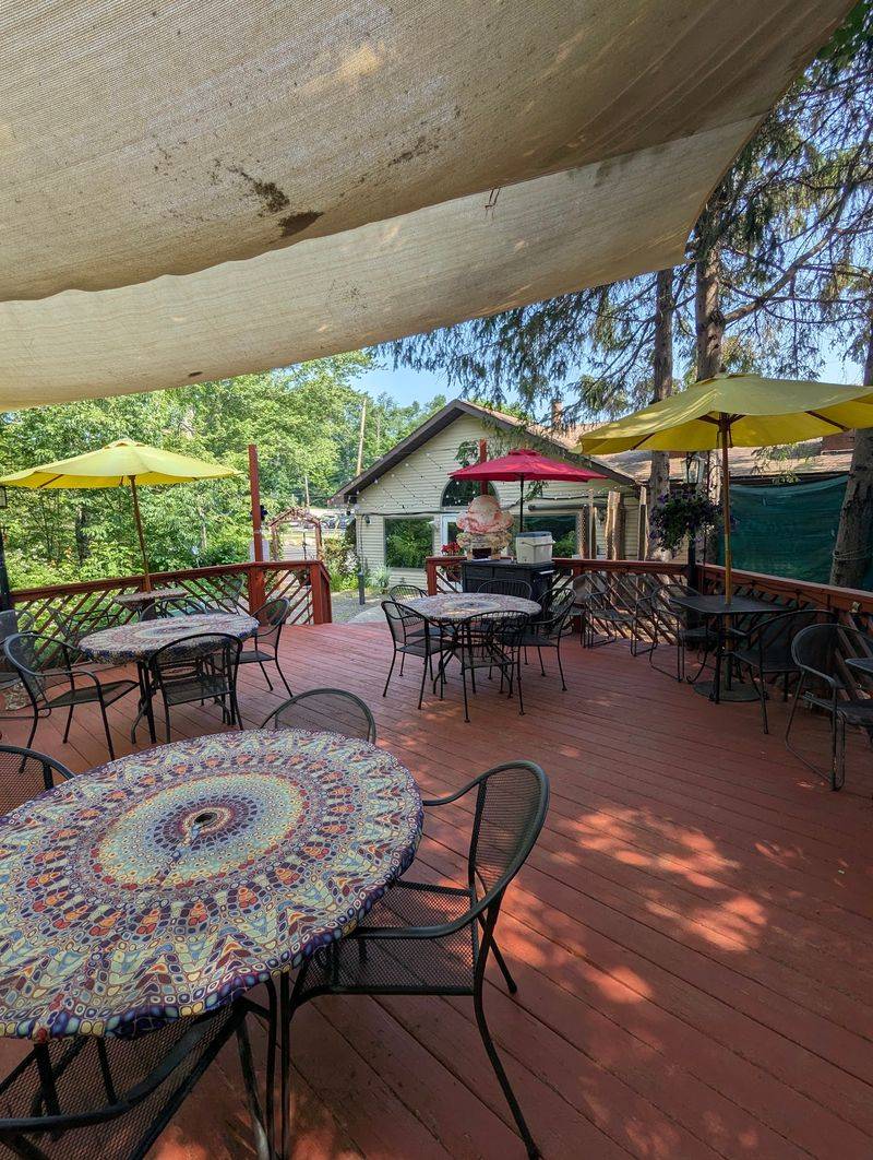 The Back Deck Overlooking The Mongaup