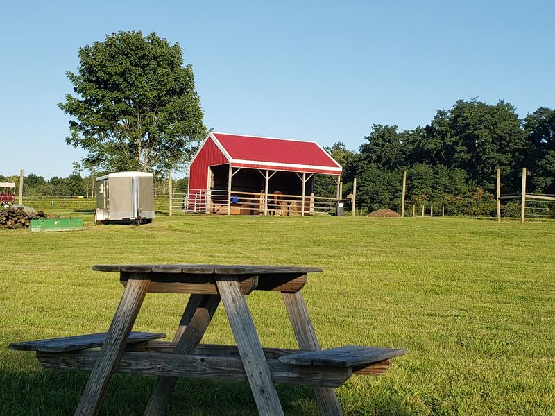 Barn Seating, Pavilion Views, And A Market To Raid