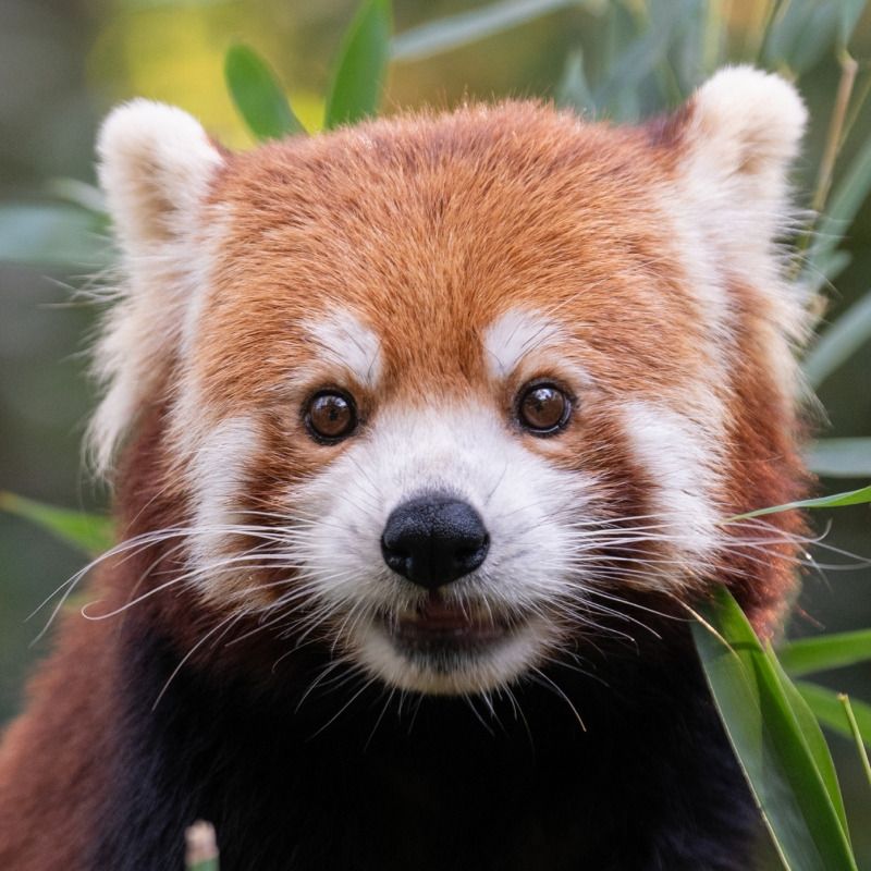 Central Park Zoo