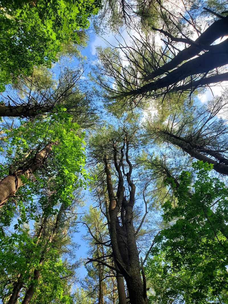 Hopkinton State Park, Hopkinton
