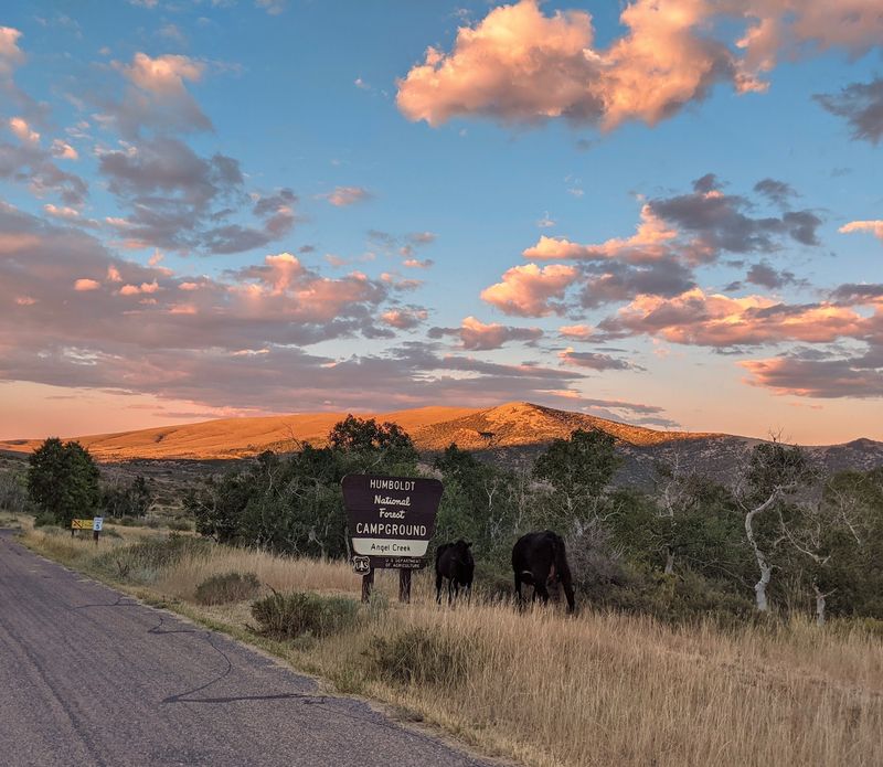 1. Angel Creek Campground - Your Mountain Base Camp