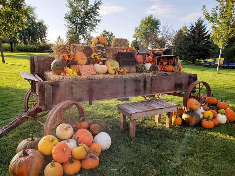 Mulberry Lane Farm Lets You Meet The Animals Before You Meet Your Pumpkin
