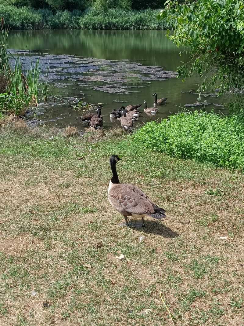 Monmouth County: Beach Days Plus Backyard Surprises