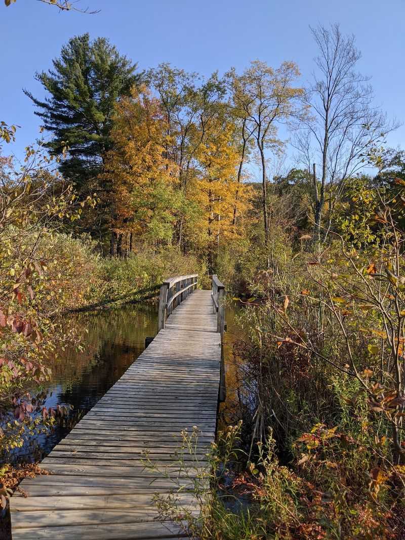 Trail Of The Ledges And Overbrook Loop, Lenox