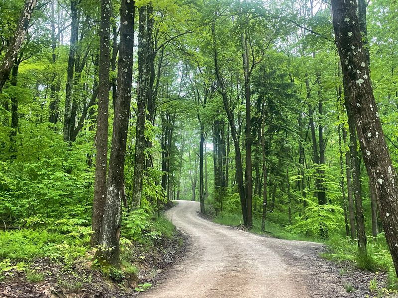 Wayne National Forest