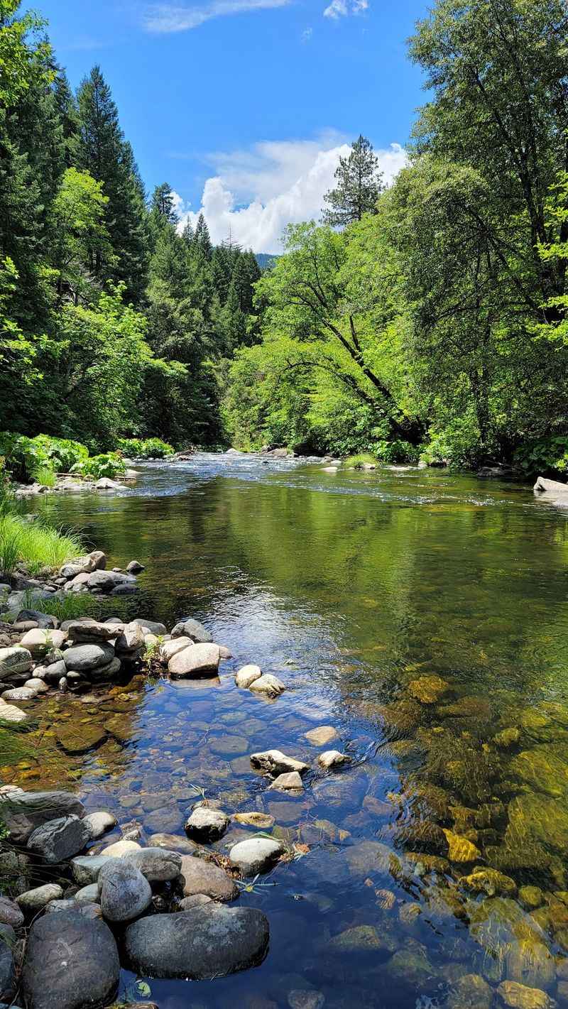 World-Class Fly Fishing In Your Own Backyard