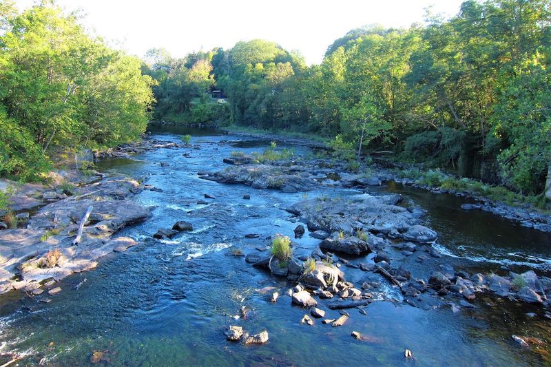 Scenic Views Along The Riverbanks