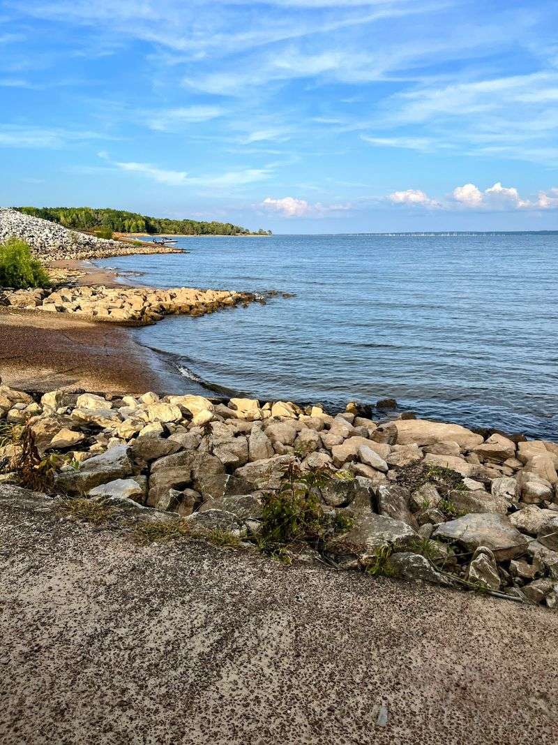 Beachcombing And Collecting Unique Shells