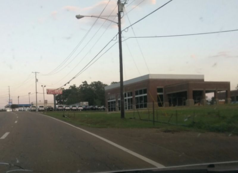 A Bear Walks 2nd Street N