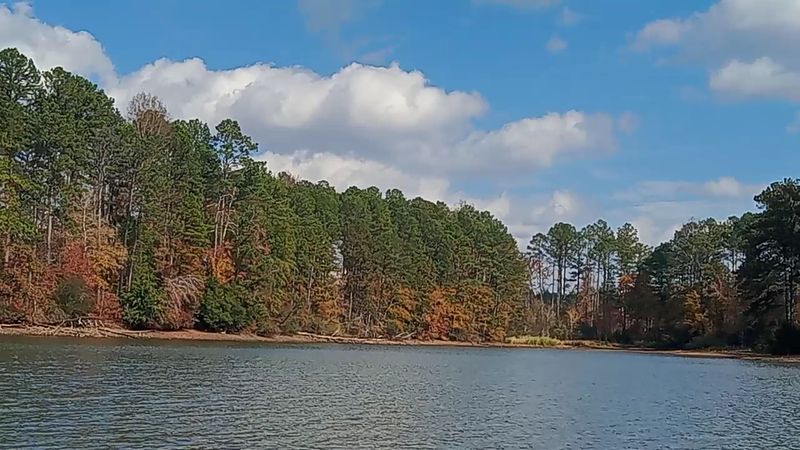 Islands Offer A Different Kind Of Lake Adventure