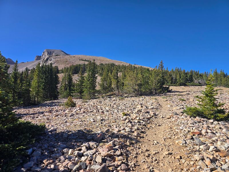 The Shoshone Heritage Written Into These Mountains